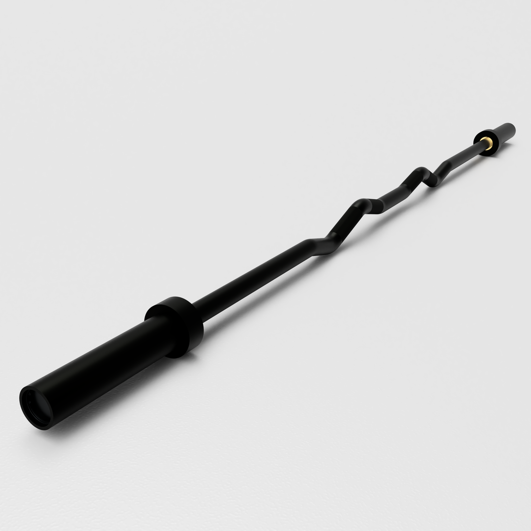 nightさん 専用 ROGUE カールバー EZバー バーベル ROGUE カールバー Eコート — MBC POWER SHOP