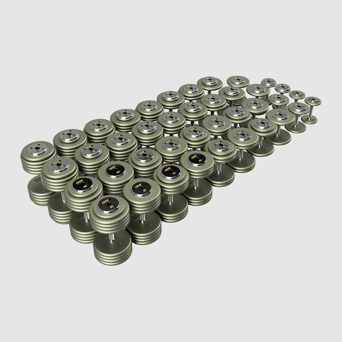 TROY Pro Style Dumbbells - HAMMERTONE