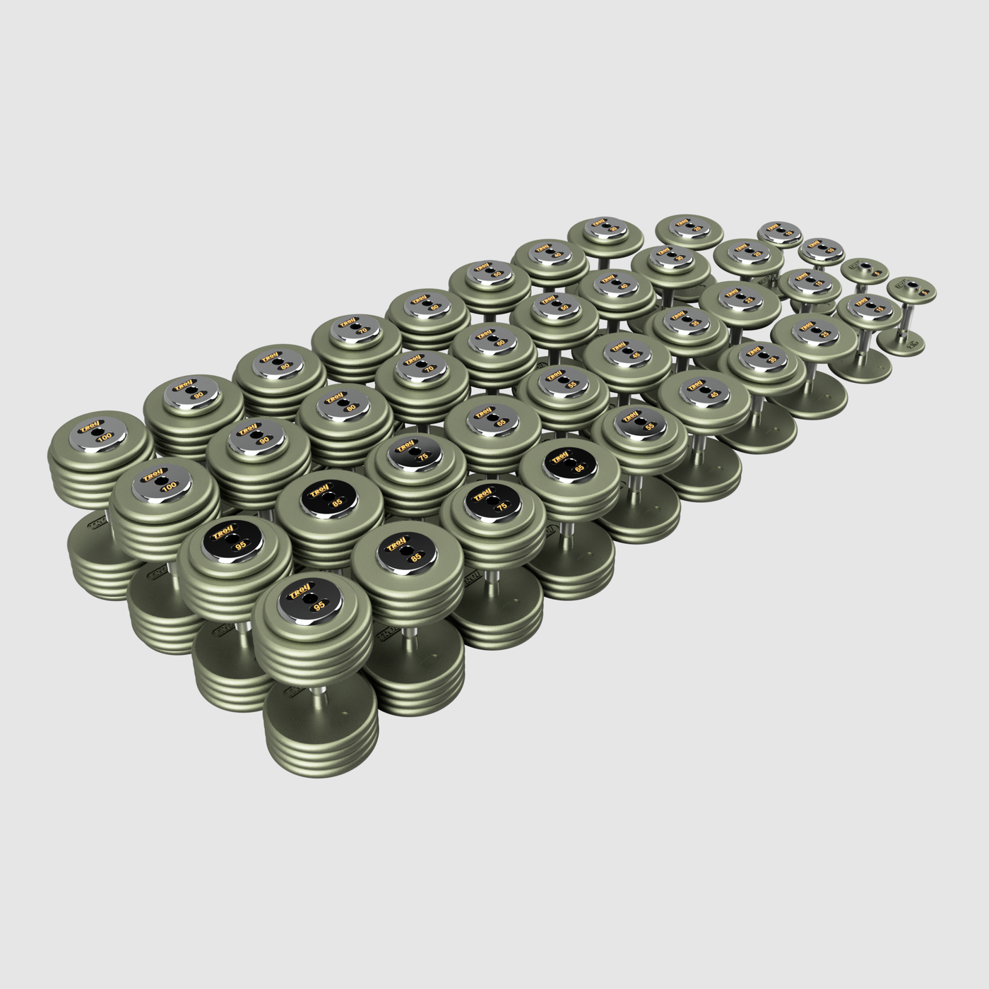 TROY Pro Style Dumbbells - HAMMERTONE