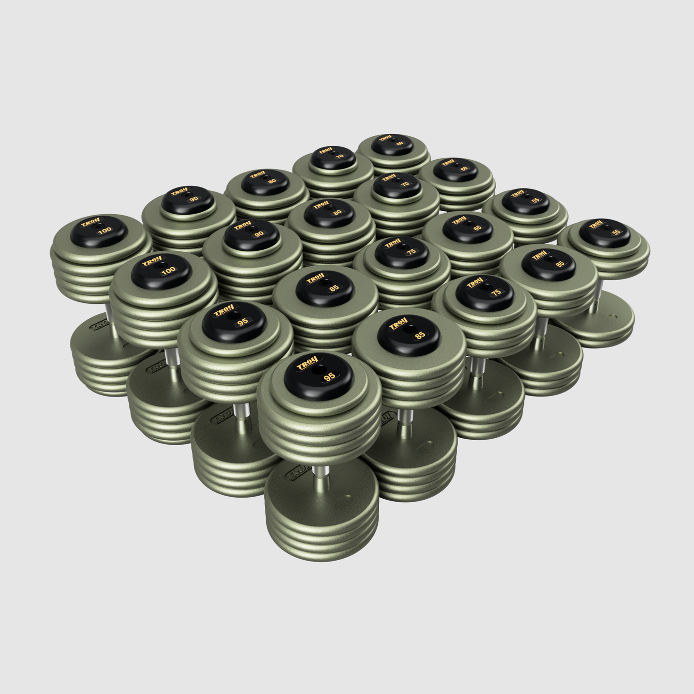 TROY Pro Style Dumbbells - HAMMERTONE