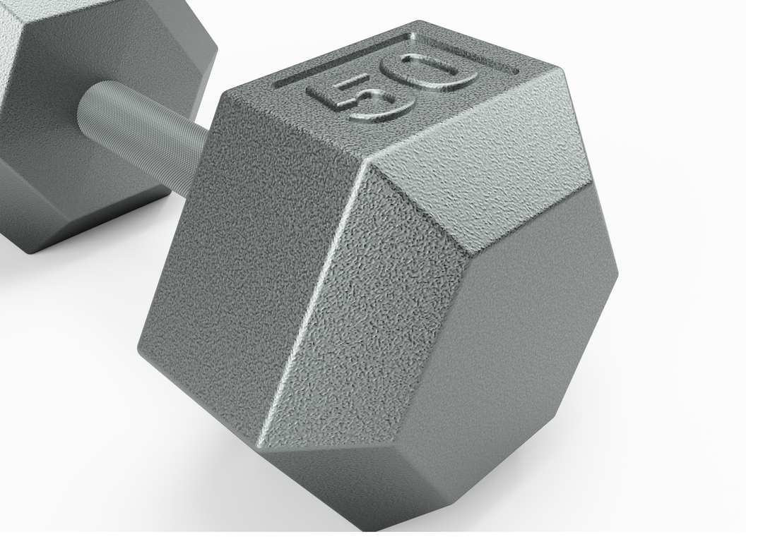 Cast Iron Dumbbell Troy Barbell Fitness