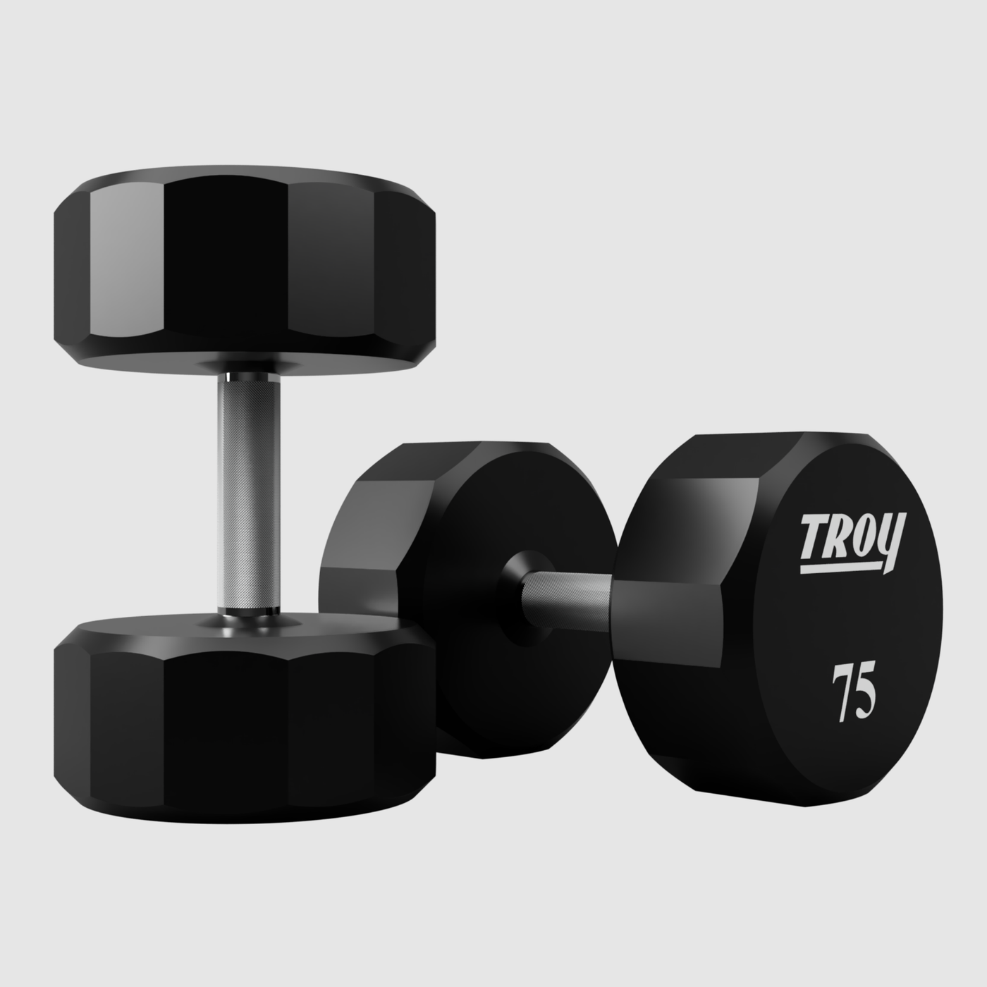 12 Sided Urethane Dumbbell