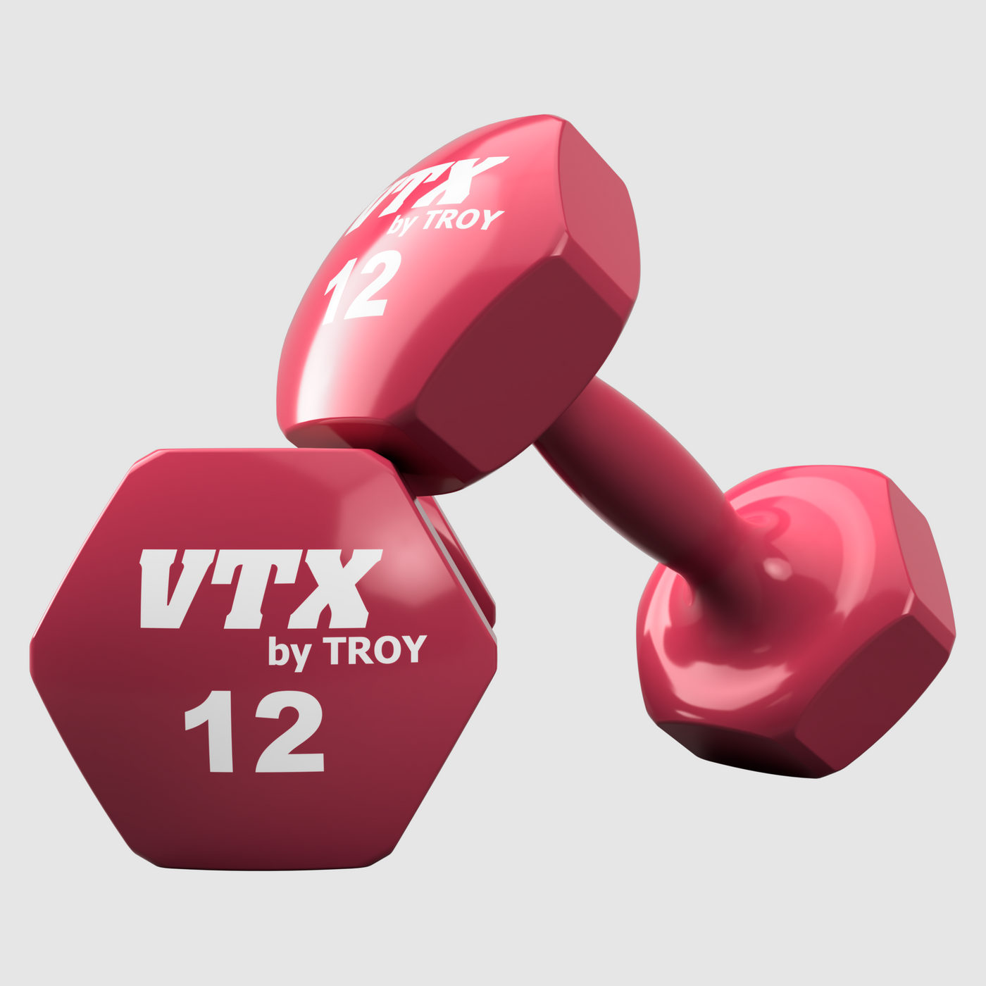 Vinyl Dumbbells